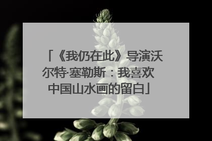 《我仍在此》导演沃尔特·塞勒斯：我喜欢中国山水画的留白