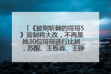 《披荆斩棘的哥哥5》赛制将大改，不再是找30位哥哥进行比拼，苏醒、王栎鑫、王铮亮、张远等多名男团选手被曝将参加