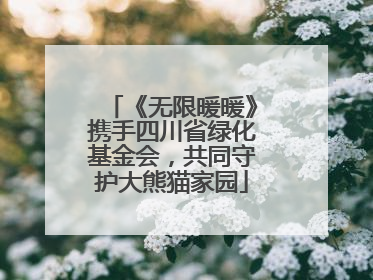 《无限暖暖》携手四川省绿化基金会，共同守护大熊猫家园