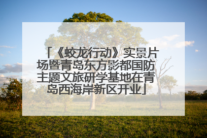 《蛟龙行动》实景片场暨青岛东方影都国防主题文旅研学基地在青岛西海岸新区开业