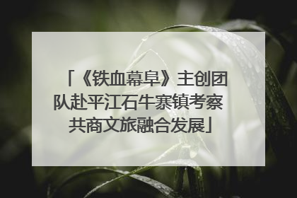 《铁血幕阜》主创团队赴平江石牛寨镇考察 共商文旅融合发展