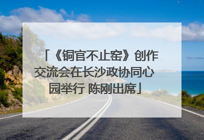 《铜官不止窑》创作交流会在长沙政协同心园举行 陈刚出席