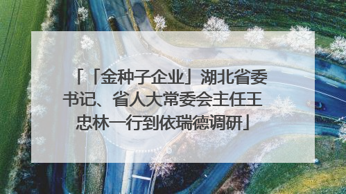 「金种子企业」湖北省委书记、省人大常委会主任王忠林一行到依瑞德调研