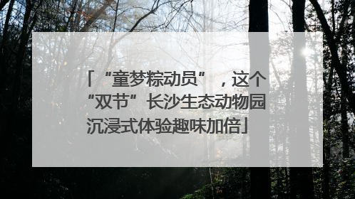 “童梦粽动员”，这个“双节”长沙生态动物园沉浸式体验趣味加倍