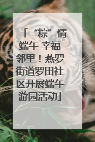 “粽”情端午 幸福邻里！燕罗街道罗田社区开展端午游园活动