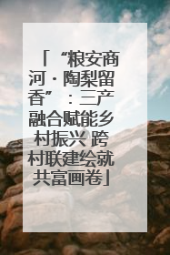 “粮安商河・陶梨留香”：三产融合赋能乡村振兴 跨村联建绘就共富画卷