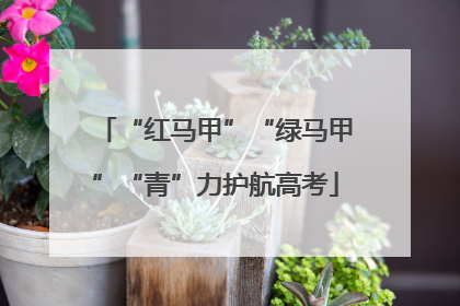 “红马甲”“绿马甲”“青”力护航高考
