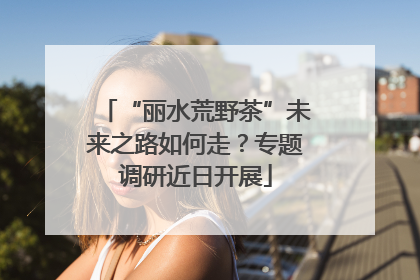 “丽水荒野茶”未来之路如何走？专题调研近日开展