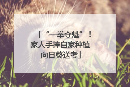 “一举夺魁”！家人手捧自家种植向日葵送考