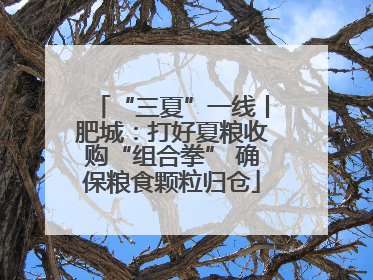 “三夏”一线丨肥城：打好夏粮收购“组合拳” 确保粮食颗粒归仓