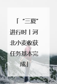 “三夏”进行时丨河北小麦收获任务基本完成