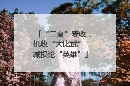 “三夏”麦收：机收“大比武” 减损论“英雄”