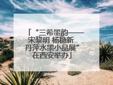 “三希墨韵——宋黎明 杨稳新 丹萍水墨小品展”在西安举办