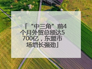 “中三角”前4个月外贸总额达5700亿，东盟市场增长强劲