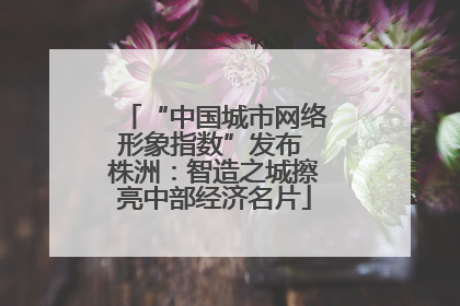 “中国城市网络形象指数”发布 株洲：智造之城擦亮中部经济名片