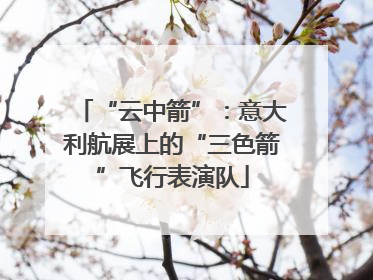 “云中箭”：意大利航展上的“三色箭”飞行表演队