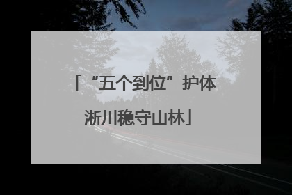 “五个到位”护体 淅川稳守山林