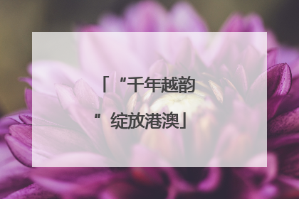 “千年越韵”绽放港澳