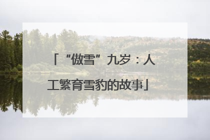 “傲雪”九岁：人工繁育雪豹的故事