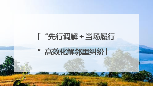 “先行调解＋当场履行”高效化解邻里纠纷