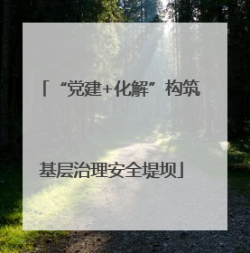 “党建+化解”构筑基层治理安全堤坝