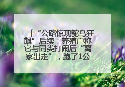 “公路惊现鸵鸟狂飙”后续：养殖户称它与同类打闹后“离家出走”，跑了1公里被找回