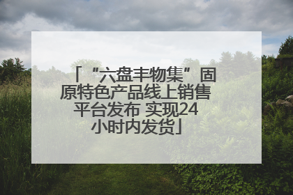 “六盘丰物集”固原特色产品线上销售平台发布 实现24小时内发货