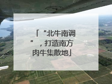 “北牛南调”，打造南方肉牛集散地