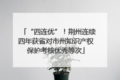 “四连优”！荆州连续四年获省对市州知识产权保护考核优秀等次