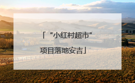 “小红村超市”项目落地安吉