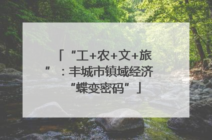 “工+农+文+旅”：丰城市镇域经济“蝶变密码”