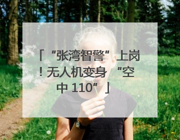 “张湾智警”上岗！无人机变身 “空中 110”
