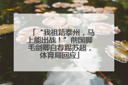 “我祖籍泰州，马上能出战！”前国脚毛剑卿自荐踢苏超，体育局回应