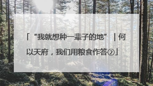 “我就想种一辈子的地”｜何以天府，我们用粮食作答②