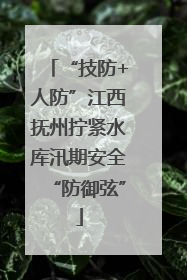 “技防+人防”江西抚州拧紧水库汛期安全“防御弦”