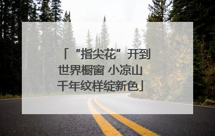 “指尖花”开到世界橱窗 小凉山千年纹样绽新色