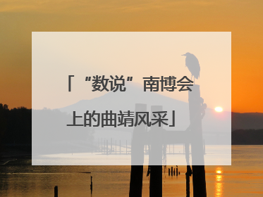 “数说”南博会上的曲靖风采