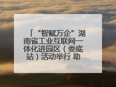 “智赋万企”湖南省工业互联网一体化进园区（娄底站）活动举行 助推农机装备产业高质量发展