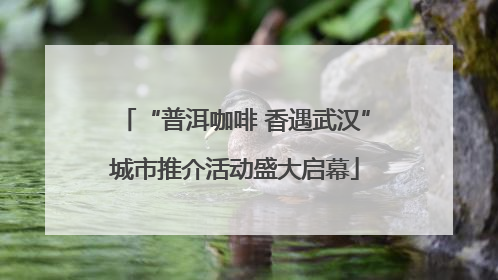 “普洱咖啡 香遇武汉”城市推介活动盛大启幕