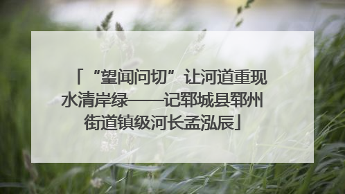“望闻问切”让河道重现水清岸绿——记郓城县郓州街道镇级河长孟泓辰
