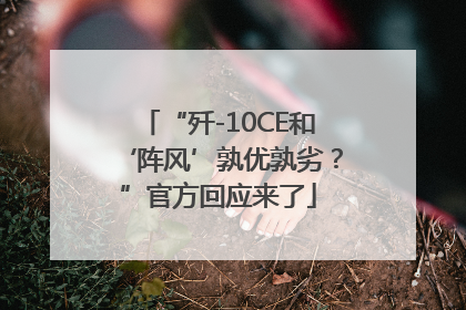 “歼-10CE和‘阵风’孰优孰劣？”官方回应来了