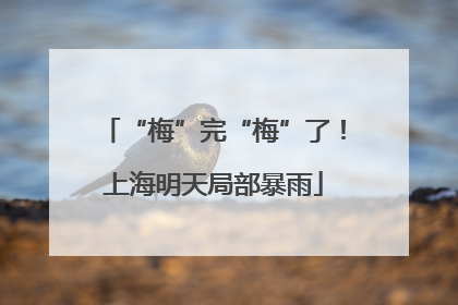 “梅”完“梅”了！上海明天局部暴雨