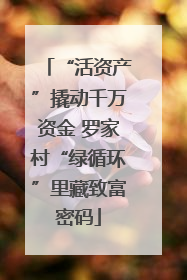 “活资产”撬动千万资金 罗家村“绿循环”里藏致富密码
