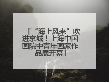 “海上风来”吹进京城！上海中国画院中青年画家作品展开幕
