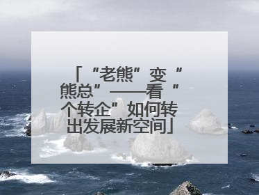 “老熊”变“熊总”——看“个转企”如何转出发展新空间