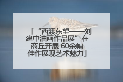 “西渡东望——刘建中油画作品展”在商丘开展 60余幅佳作展现艺术魅力
