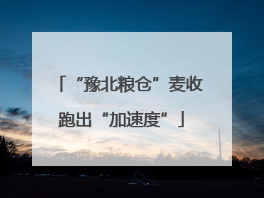 “豫北粮仓”麦收跑出“加速度”