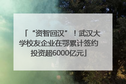 “资智回汉”！武汉大学校友企业在鄂累计签约投资超6000亿元