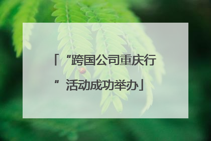 “跨国公司重庆行”活动成功举办