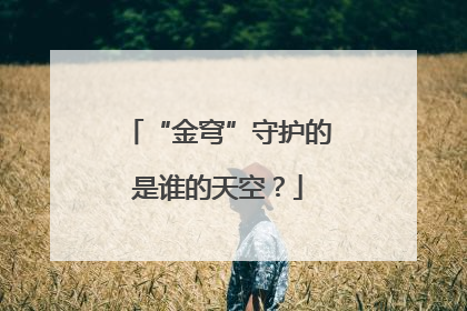 “金穹”守护的是谁的天空？